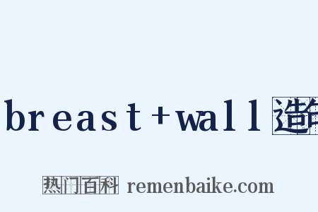 breast+wall造句是什么意思的图片